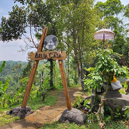 Delta Casa Ubud-Jungle Villas With Volcano View Gianyar  Exterior photo