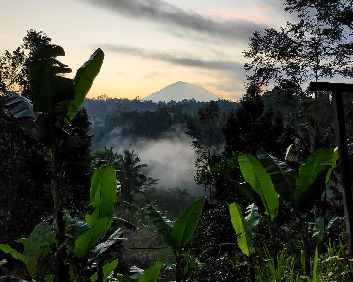 Delta Casa Ubud-Jungle Villas With Volcano View Gianyar  Exterior photo