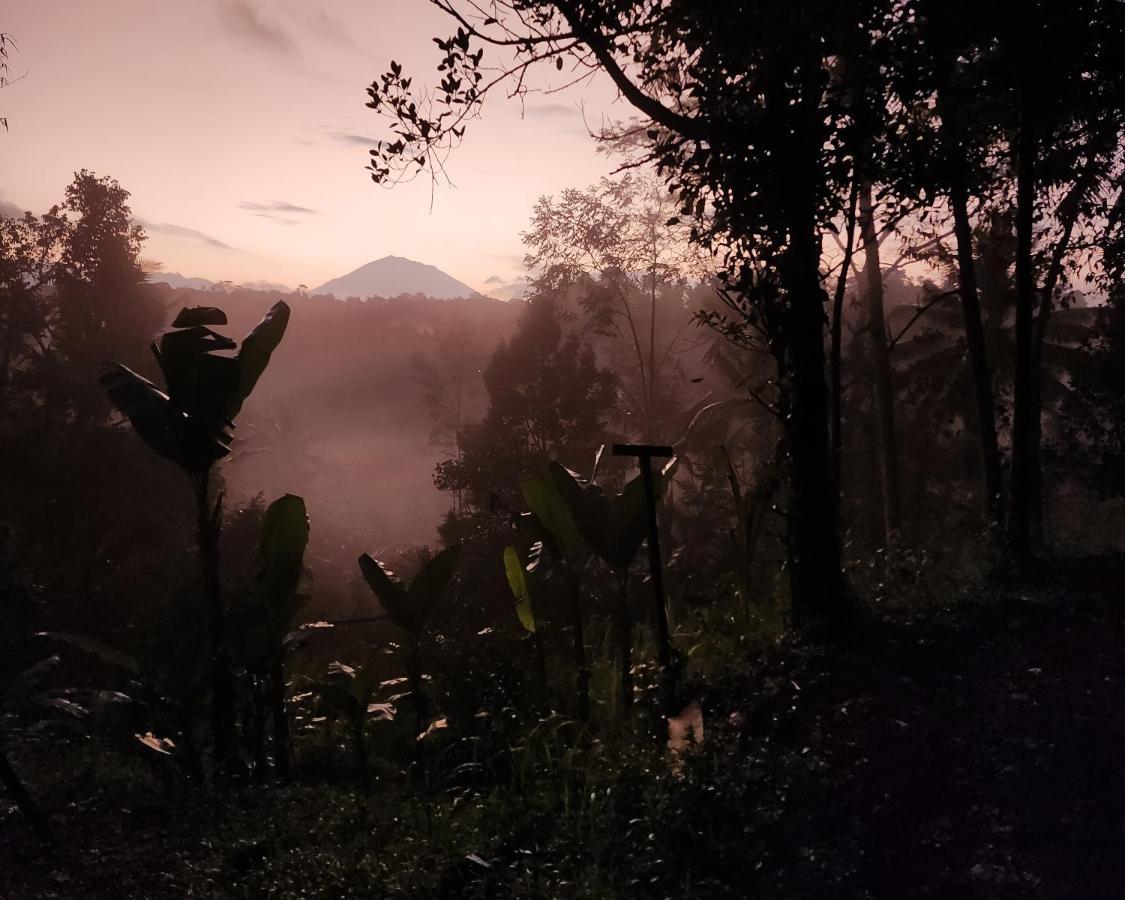 Delta Casa Ubud-Jungle Villas With Volcano View Gianyar  Exterior photo