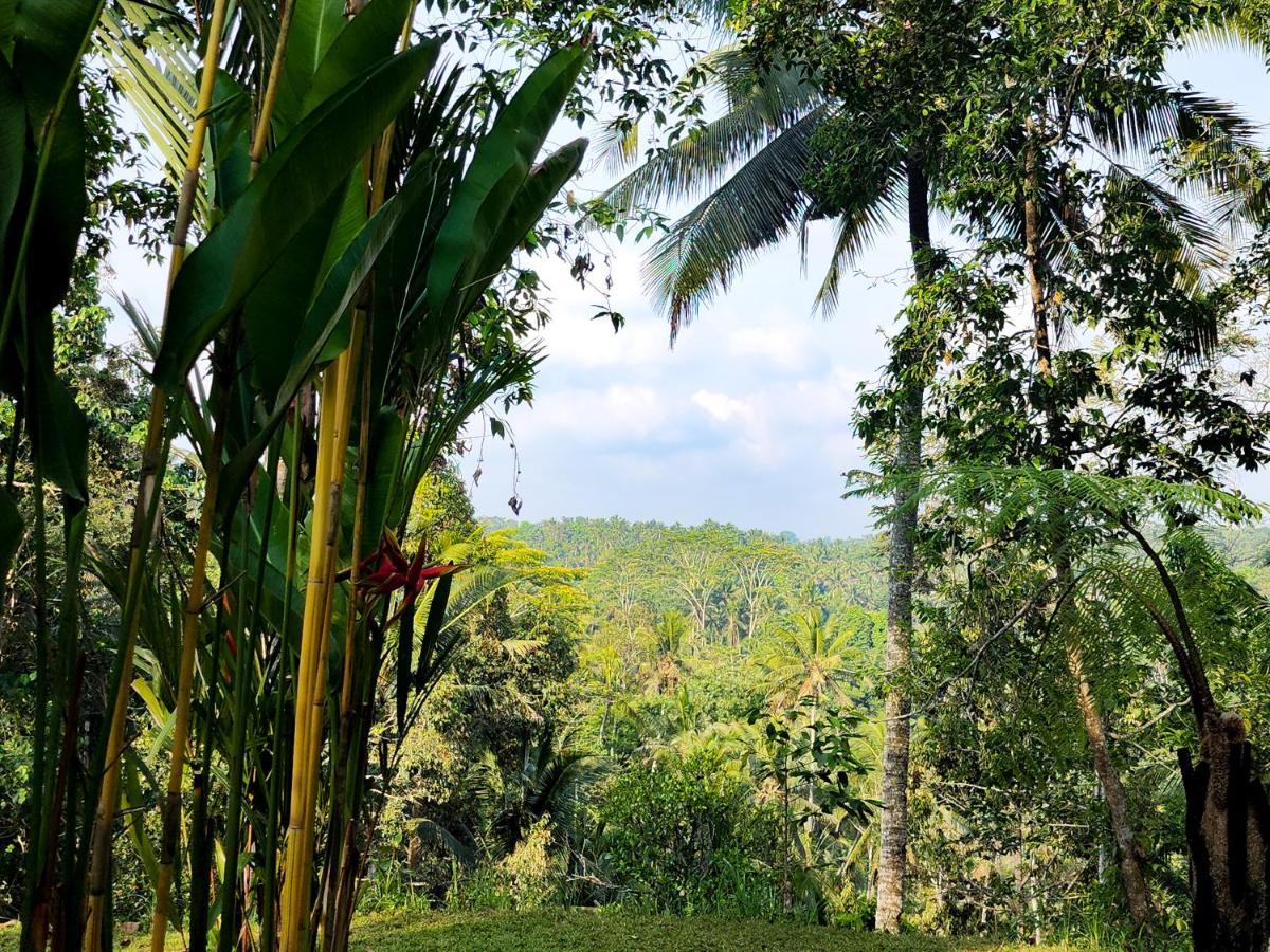 Delta Casa Ubud-Jungle Villas With Volcano View Gianyar  Exterior photo