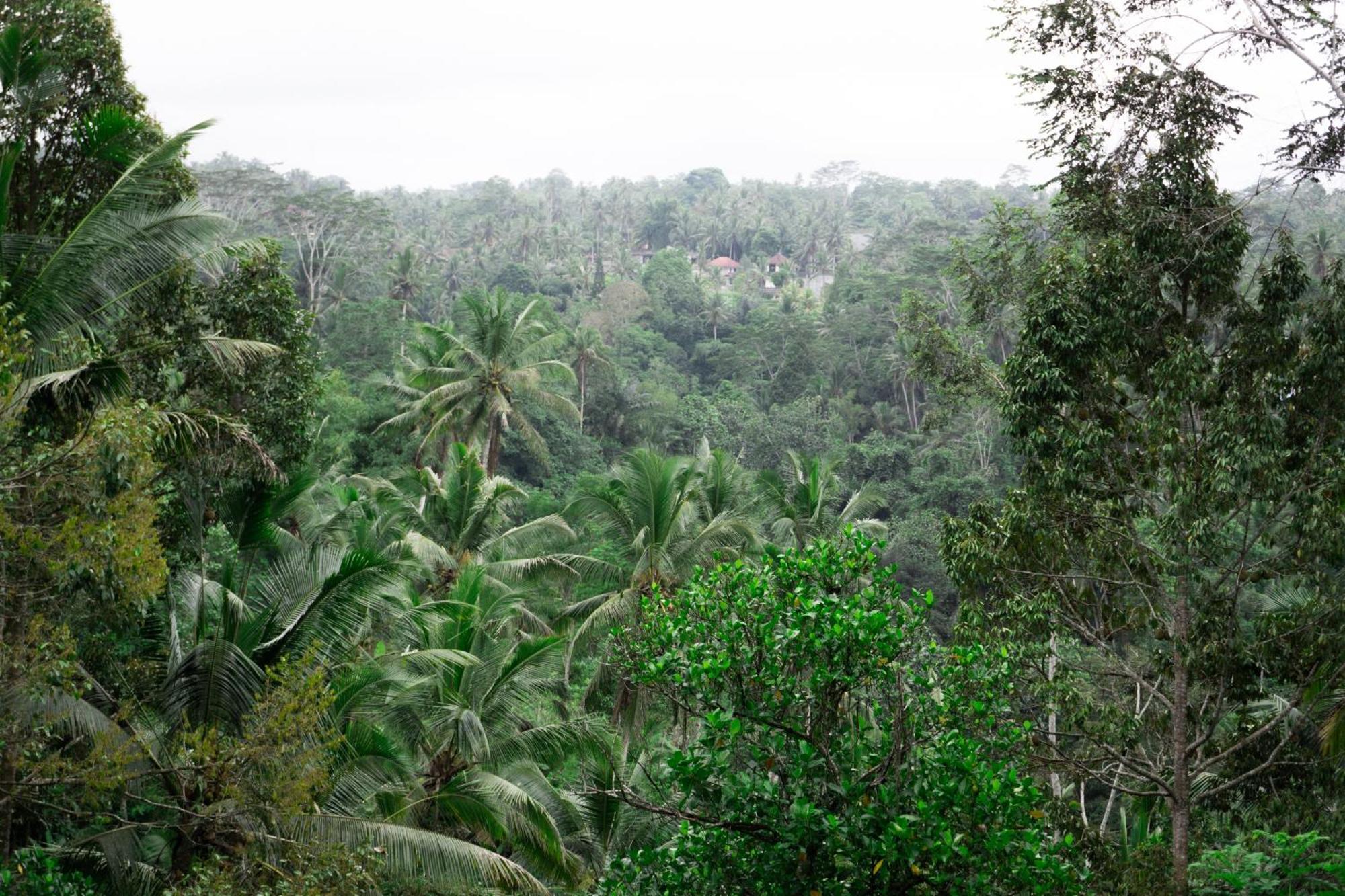 Delta Casa Ubud-Jungle Villas With Volcano View Gianyar  Exterior photo