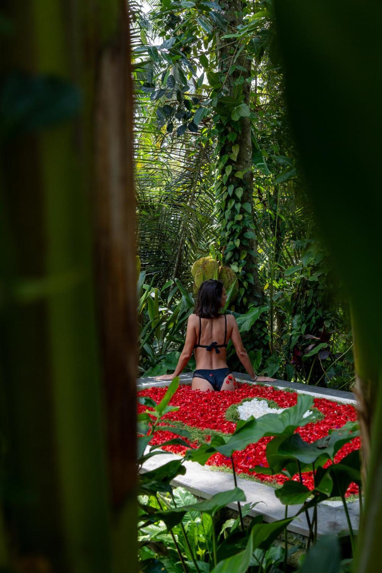 Delta Casa Ubud-Jungle Villas With Volcano View Gianyar  Exterior photo
