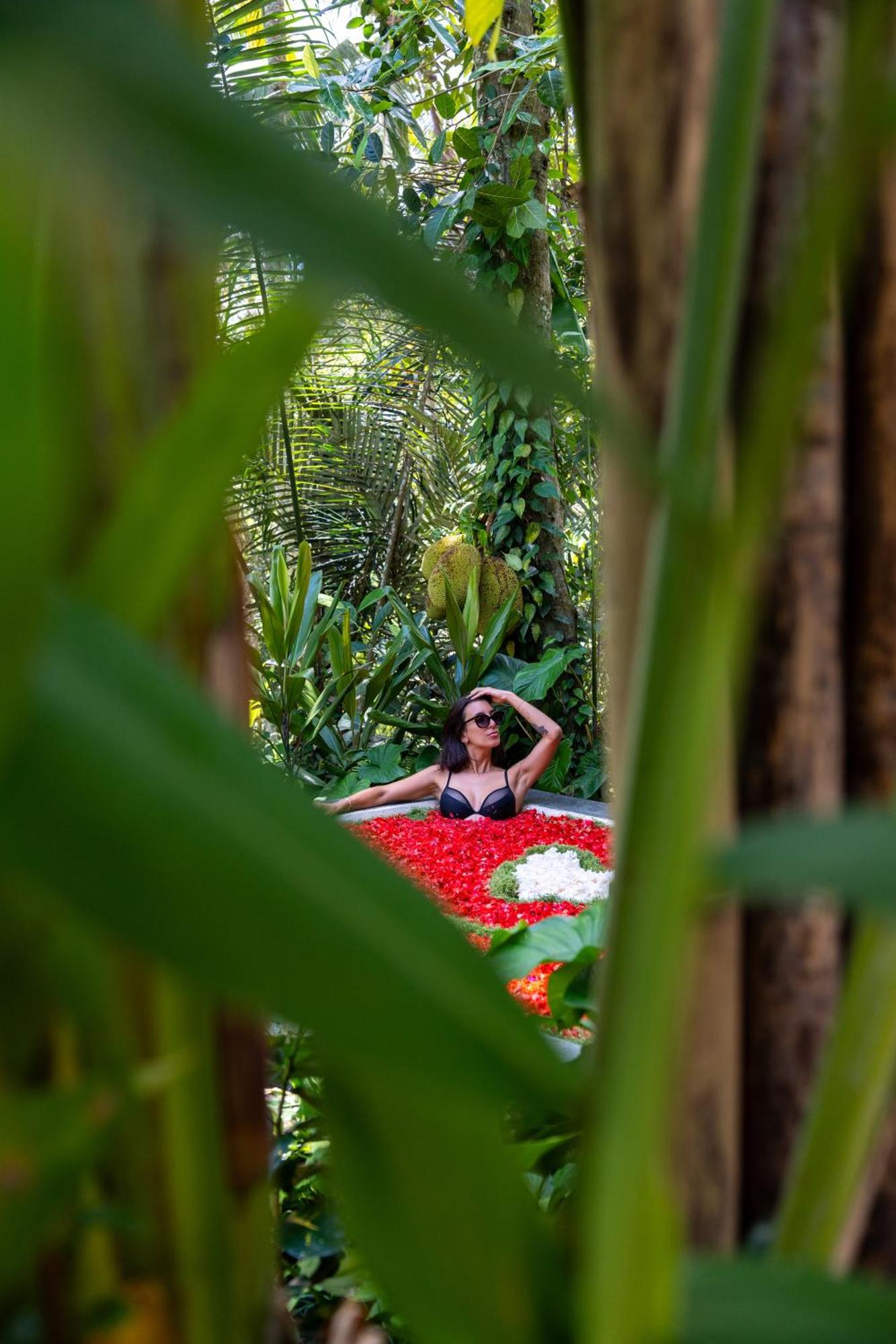 Delta Casa Ubud-Jungle Villas With Volcano View Gianyar  Exterior photo