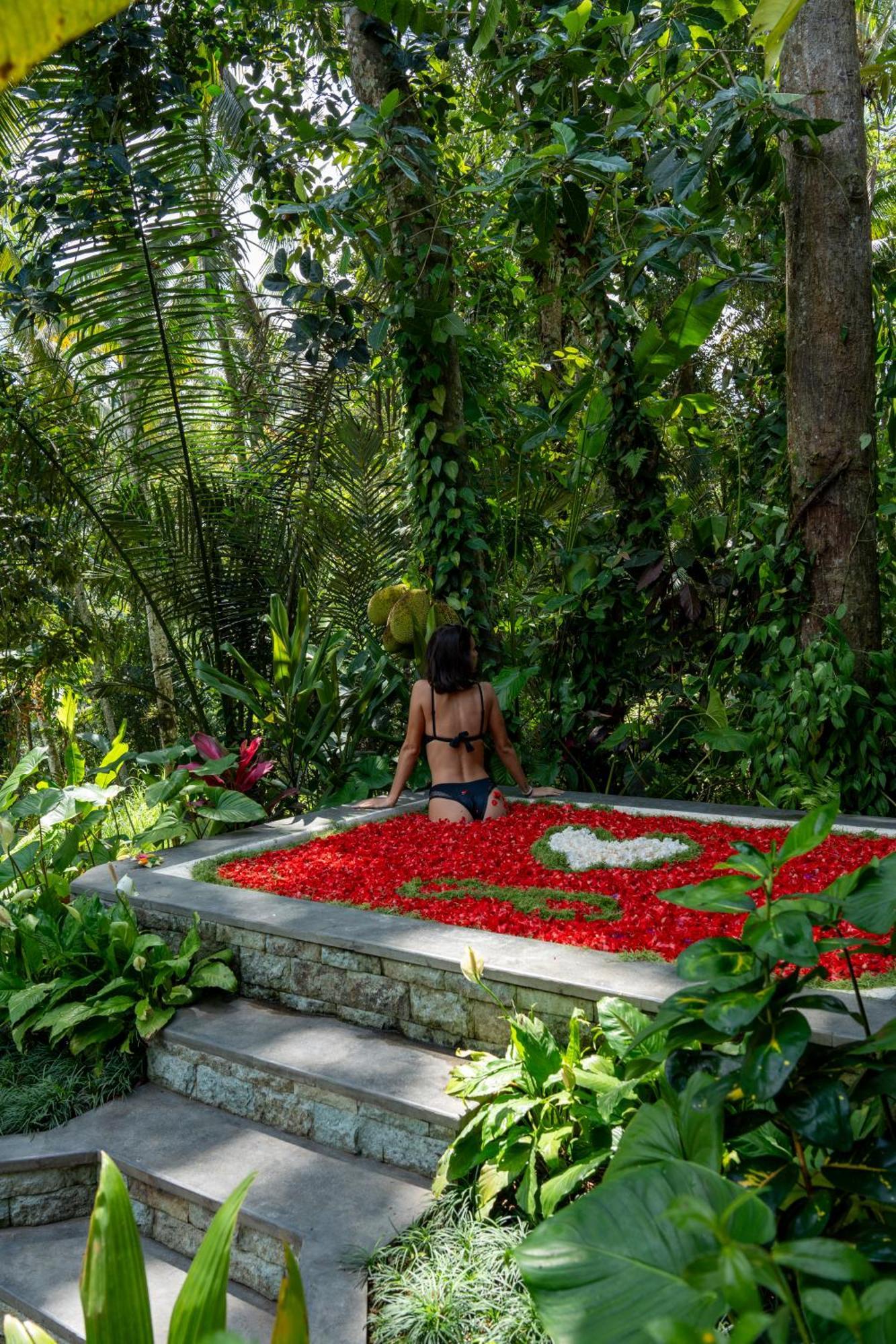 Delta Casa Ubud-Jungle Villas With Volcano View Gianyar  Exterior photo