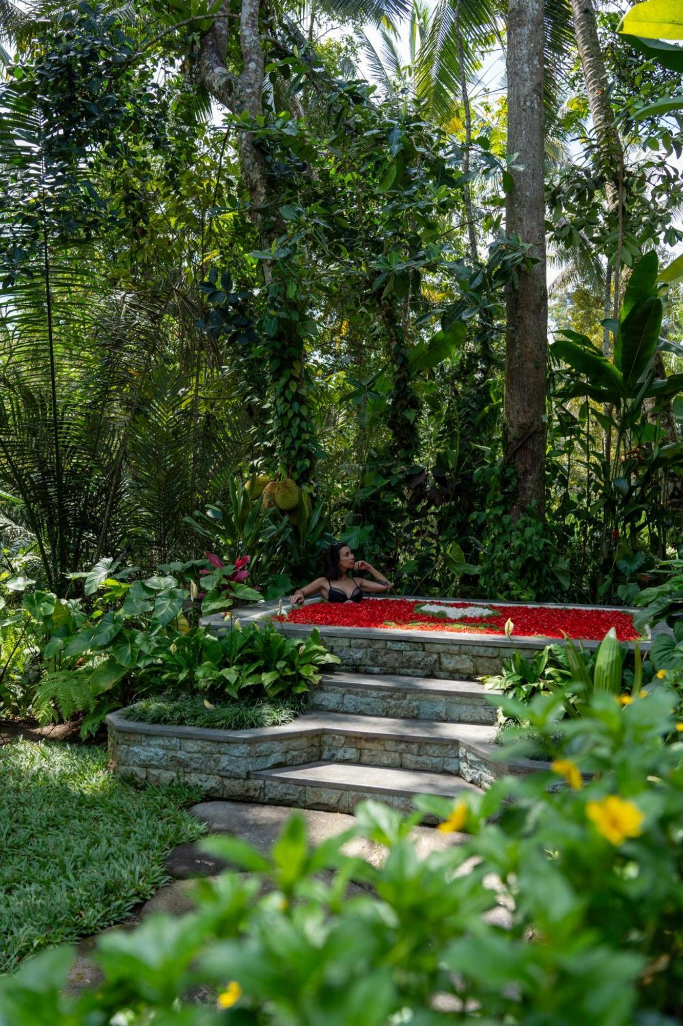 Delta Casa Ubud-Jungle Villas With Volcano View Gianyar  Exterior photo